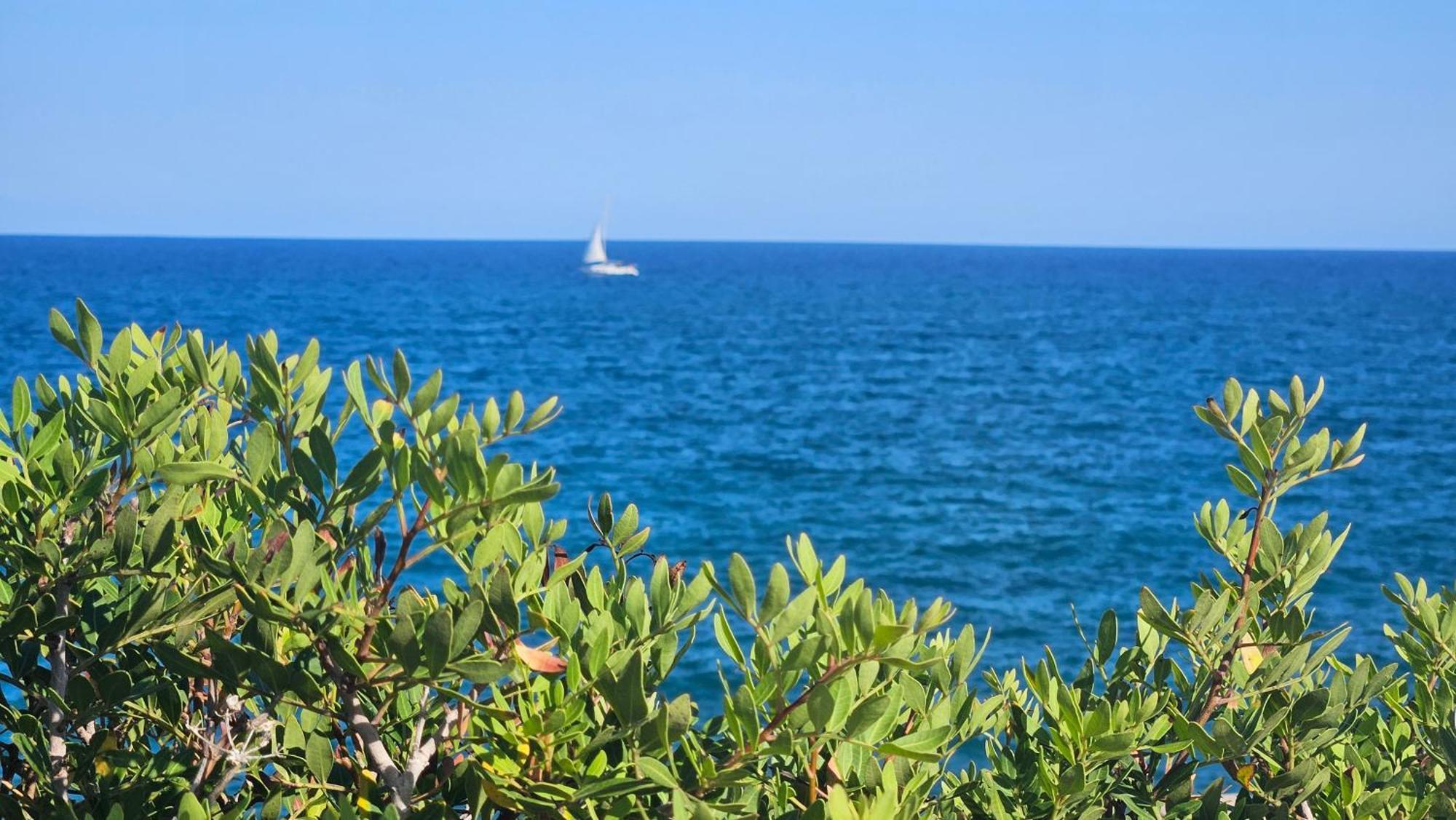 Apartmán Royal Oropesa Oropesa del Mar Exteriér fotografie