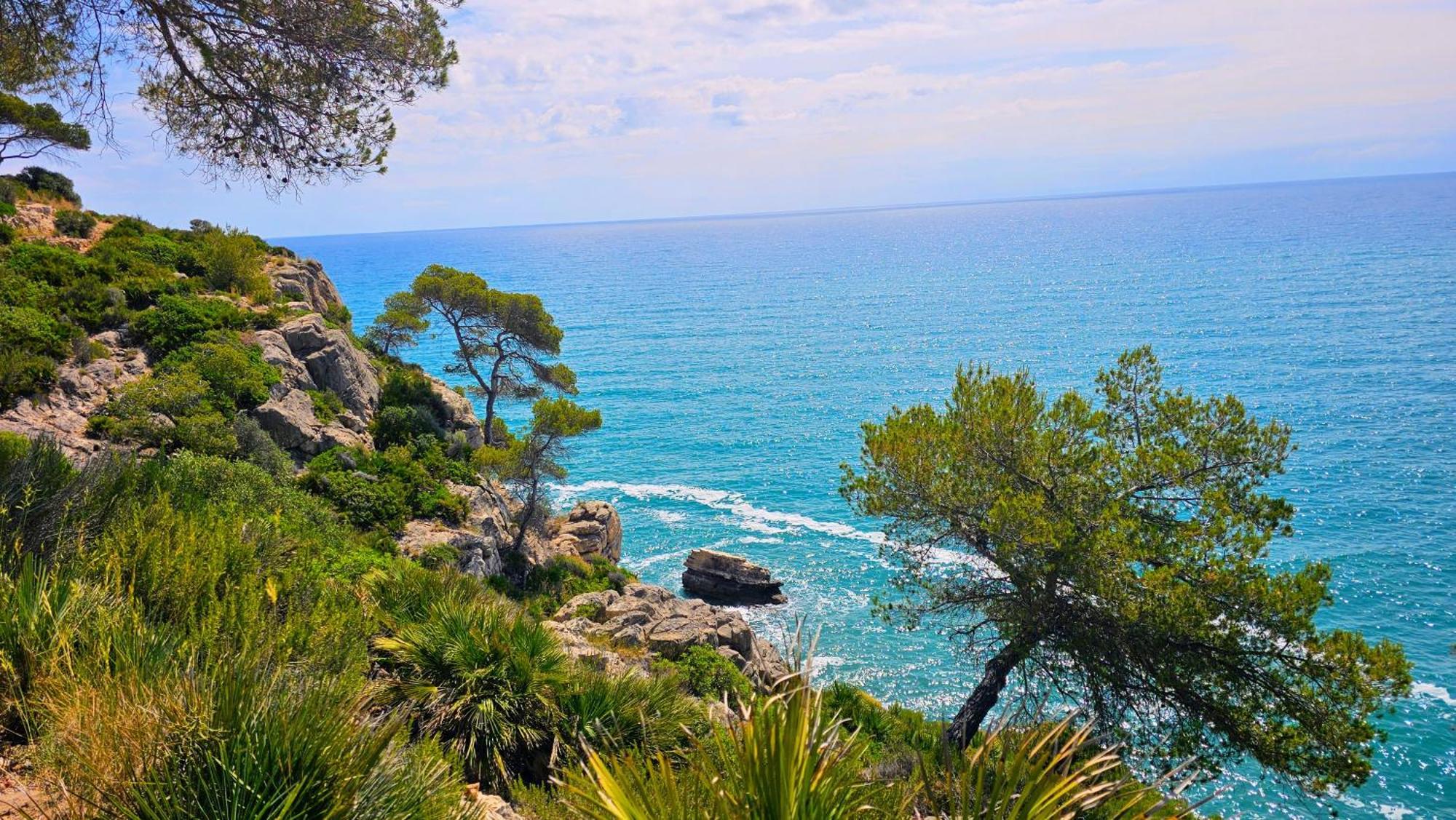 Apartmán Royal Oropesa Oropesa del Mar Exteriér fotografie