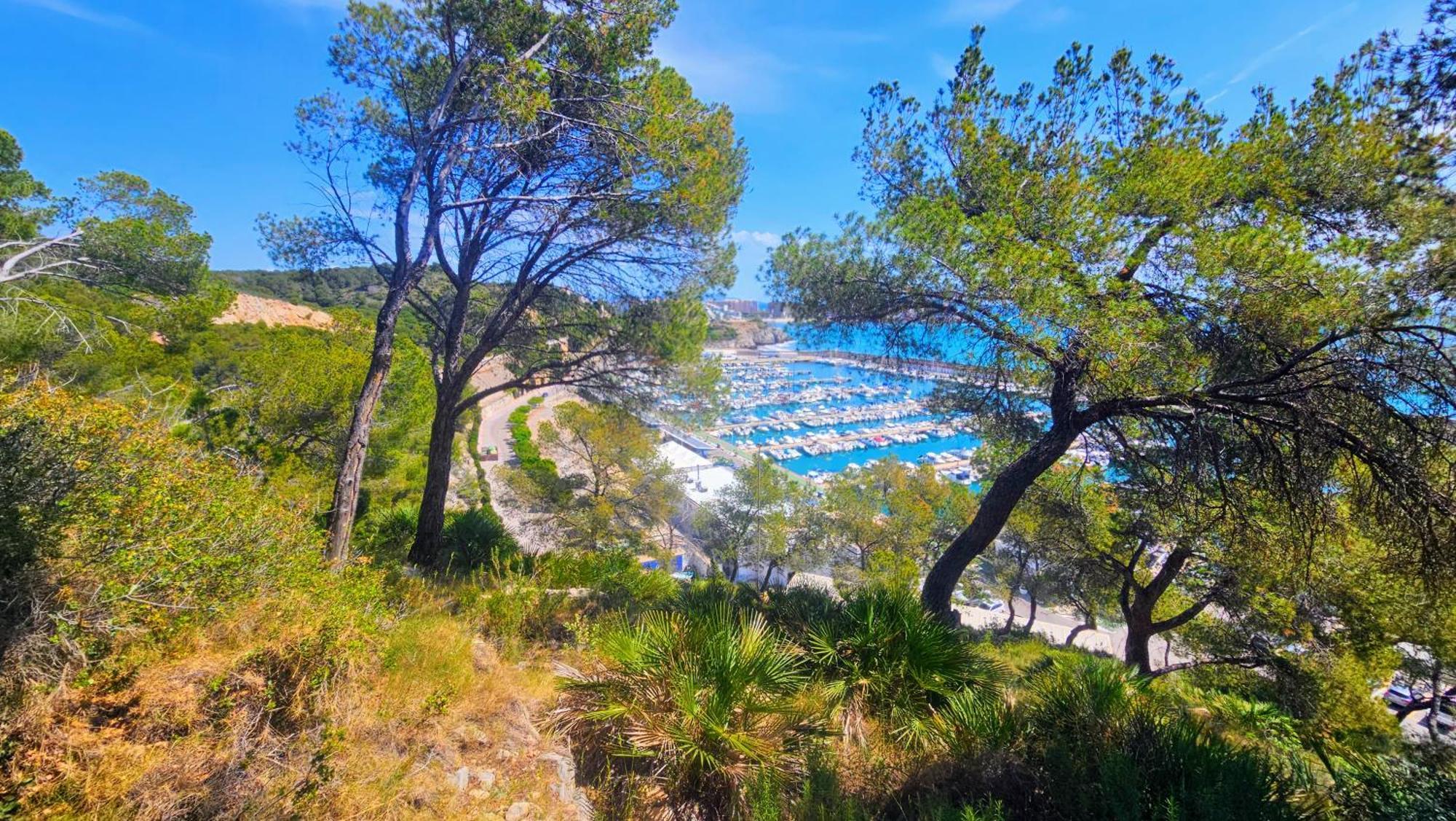Apartmán Royal Oropesa Oropesa del Mar Exteriér fotografie