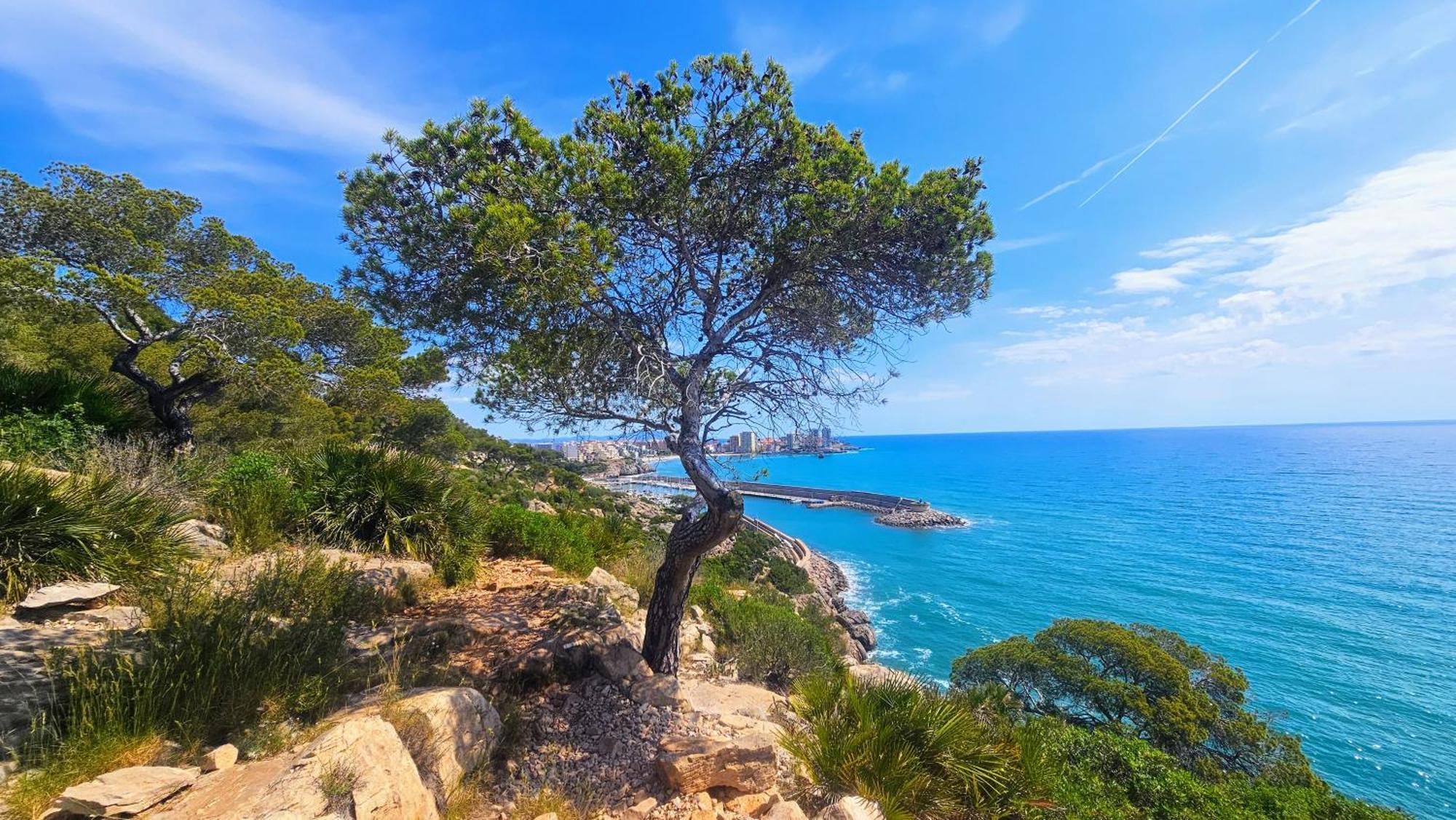 Apartmán Royal Oropesa Oropesa del Mar Exteriér fotografie
